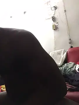 livepro online show from 10, 12, 2024