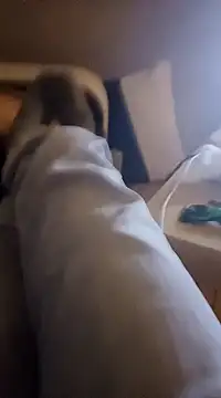 InMeinenMund online show from 13, 1, 2025