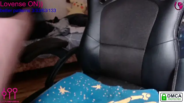 sweet cute cat online show from 25, 2, 2025