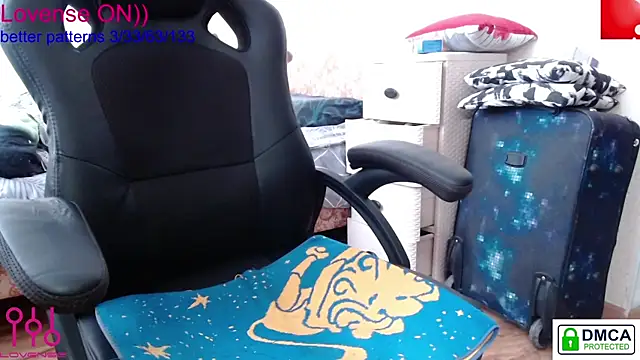 sweet cute cat online show from 28, 2, 2025