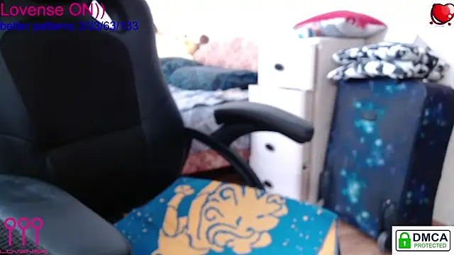 sweet cute cat online show from 8, 3, 2025