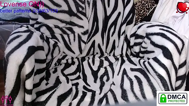 sweet cute cat online show from 13, 3, 2026