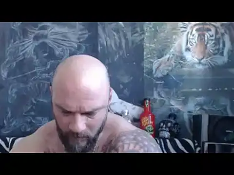 viking 30 online show from 12, 4, 2026