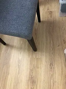 Mindnorthcam2 online show from 25, 12, 2024