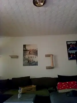 Codymc89 online show from 30, 6, 2026