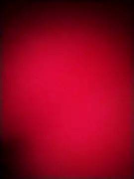 EvaCristal online show from 20, 12, 2025