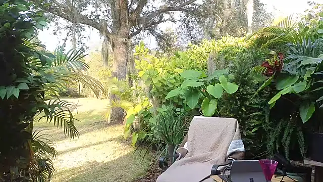 Snapshot of eliberator1777 chatting on 31, 1, 2025 eliberator1777 online show from 31, 1, 2025