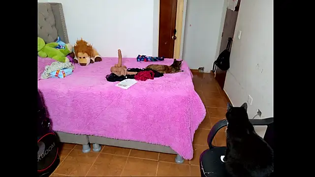 emily honter online show from 14, 12, 2025