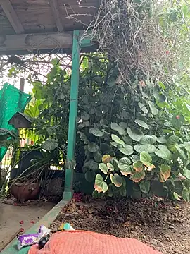 Snapshot of sofy_alone chatting on 2, 2, 2026 sofy alone online show from 2, 2, 2026