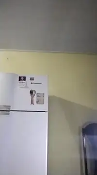 Snapshot of catdool chatting on 14, 2, 2025 catdool online show from 14, 2, 2025