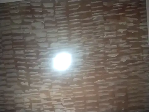 Snapshot of catdool chatting on 22, 9, 2025 catdool online show from 22, 9, 2025