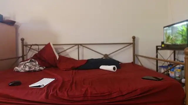 Snapshot of Dragonnyc@xh chatting on 21, 2, 2026 Dragonnycxh online show from 21, 2, 2026