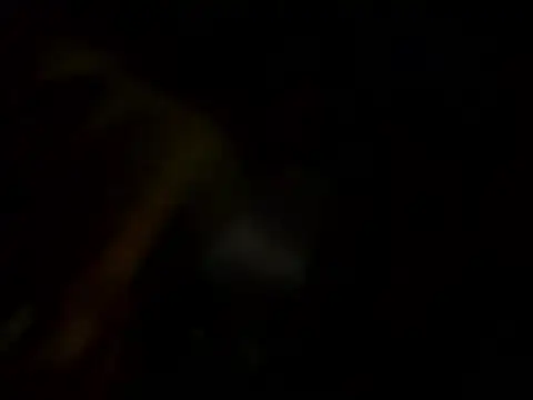 Tmissmag online show from 10, 3, 2026