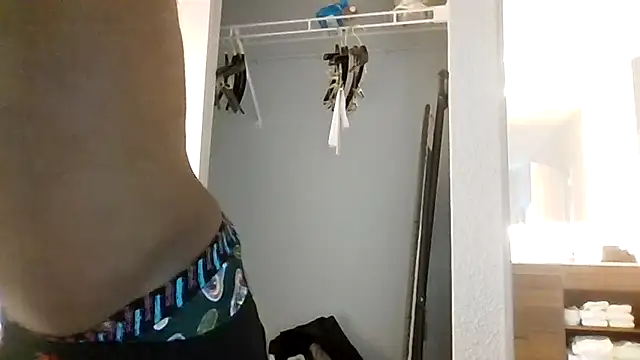 Maculine Stayr online show from 1, 4, 2026