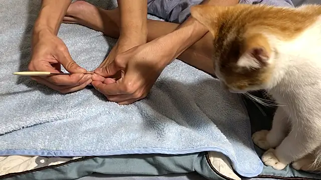 RiderFloor online show from 8, 2, 2026