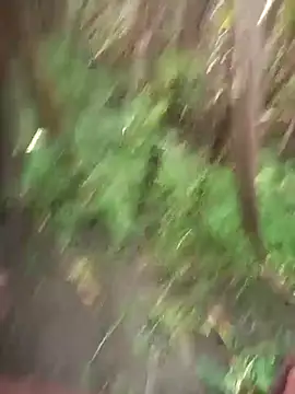 FinableKnee online show from 8, 10, 2025