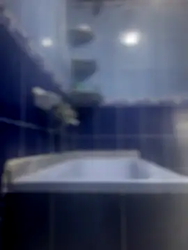 Snapshot of Arabien_Pharaoh- chatting on 23, 11, 2025 Arabien Pharaoh- online show from 23, 11, 2025