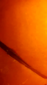 k lebannon online show from 31, 12, 2024