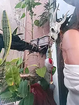 k lebannon online show from 20, 2, 2025