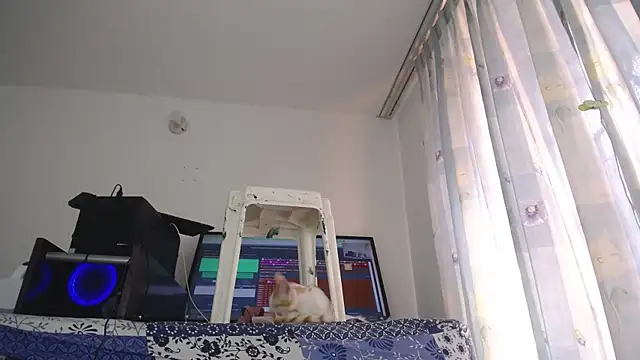 eolicasex online show from 1, 2, 2025