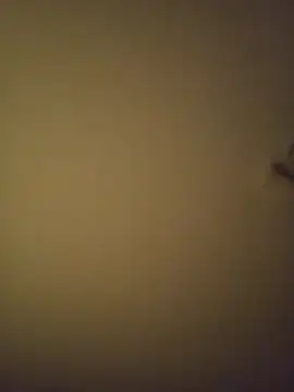 Snapshot of SMOKERBEASTBR chatting on 8, 2, 2026 SMOKERBEASTBR online show from 8, 2, 2026