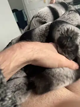 Furdale online show from 2, 12, 2024