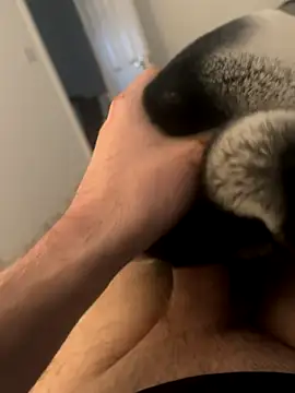 Furdale online show from 3, 12, 2024