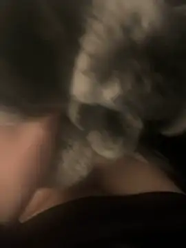 Furdale online show from 17, 12, 2024