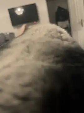 Furdale online show from 13, 1, 2025