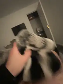 Furdale online show from 17, 1, 2025