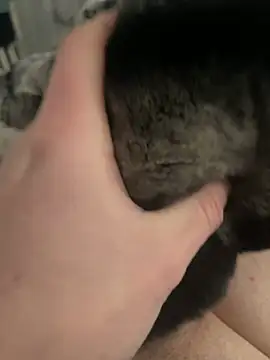 Furdale online show from 24, 2, 2025