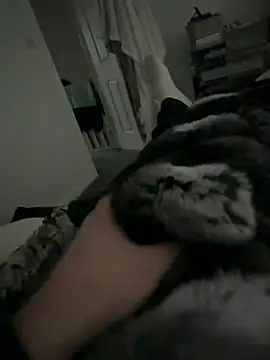 Furdale online show from 2, 2, 2026