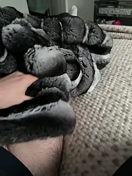 Furdale online show from 9, 2, 2026