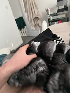 Furdale online show from 7, 3, 2026