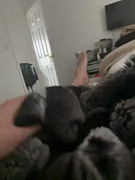 Furdale online show from 16, 3, 2026