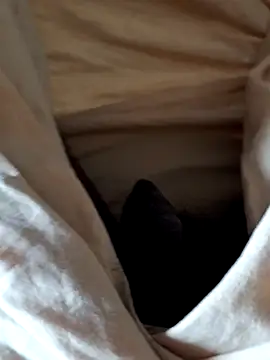 malluflash online show from 12, 2, 2026