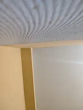 sanjib-1234 online show from 24, 9, 2025