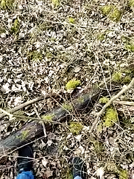 Boring one online show from 17, 3, 2025