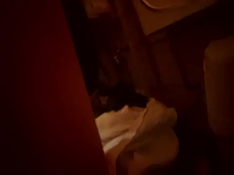 Snapshot of Dannadcz chatting on 24, 3, 2026 Dannadcz online show from 24, 3, 2026