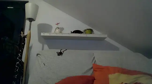 Cambitchboy online show from 14, 2, 2025