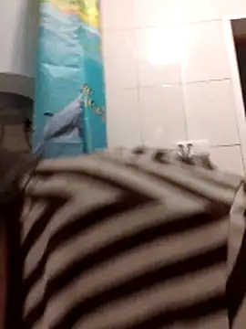 Zulfiya Bruce online show from 1, 11, 2025