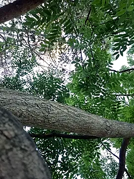 Keli Jessi online show from 14, 9, 2025