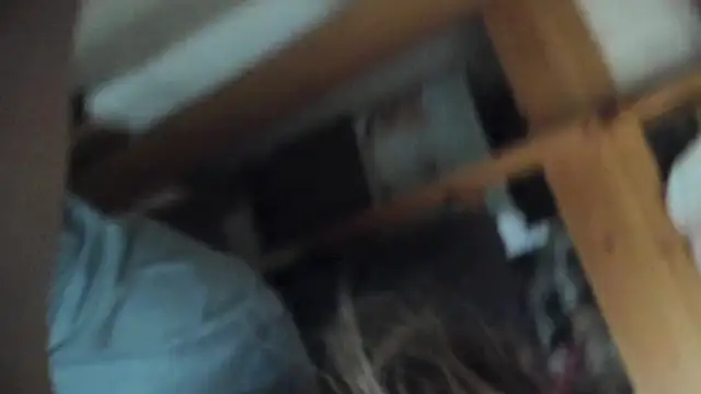 Snapshot of FrumCake chatting on 5, 3, 2025 FrumCake online show from 5, 3, 2025