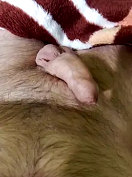 Snapshot of Robertvirt chatting on 16, 2, 2026 Robertvirt online show from 16, 2, 2026