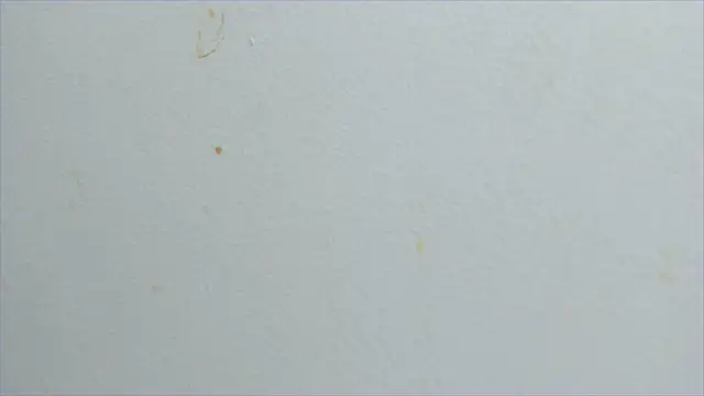 lisa2018 online show from 21, 2, 2025