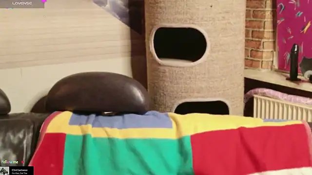 GamerGirl Eve online show from 1, 2, 2026