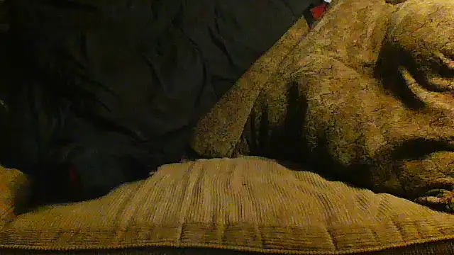 Yankeedave420 online show from 13, 4, 2026