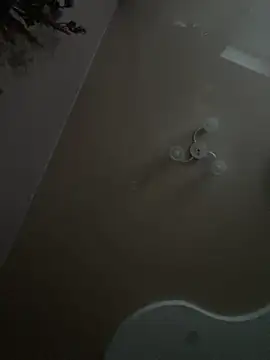 Flossy Vettie online show from 21, 3, 2026