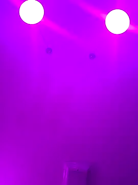 ScarletCallings420 online show from 24, 2, 2025