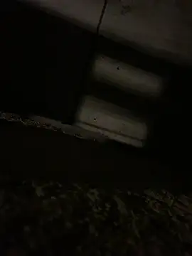 JotaCe2022 online show from 23, 4, 2026